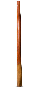 CrookedStixz Didgeridoo (AH378)